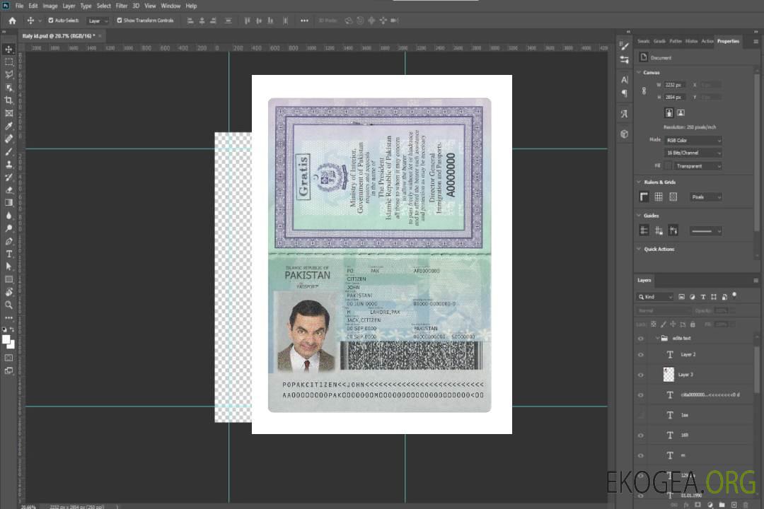 Nouveau passeport pakistanais 2020-présent template Nouveau passeport pakistanais 2020-présent template